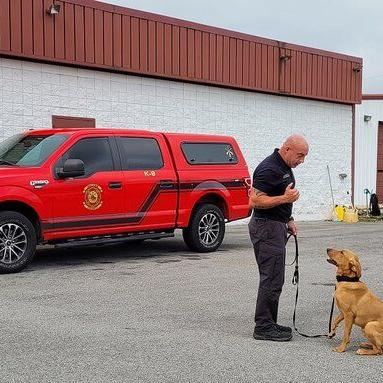 Meet Walker County's New Accelerant Detection Canine Team